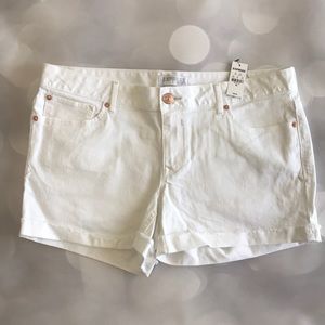 NWT Express White Denim Cutoff Cuffed Shorts Sz 14